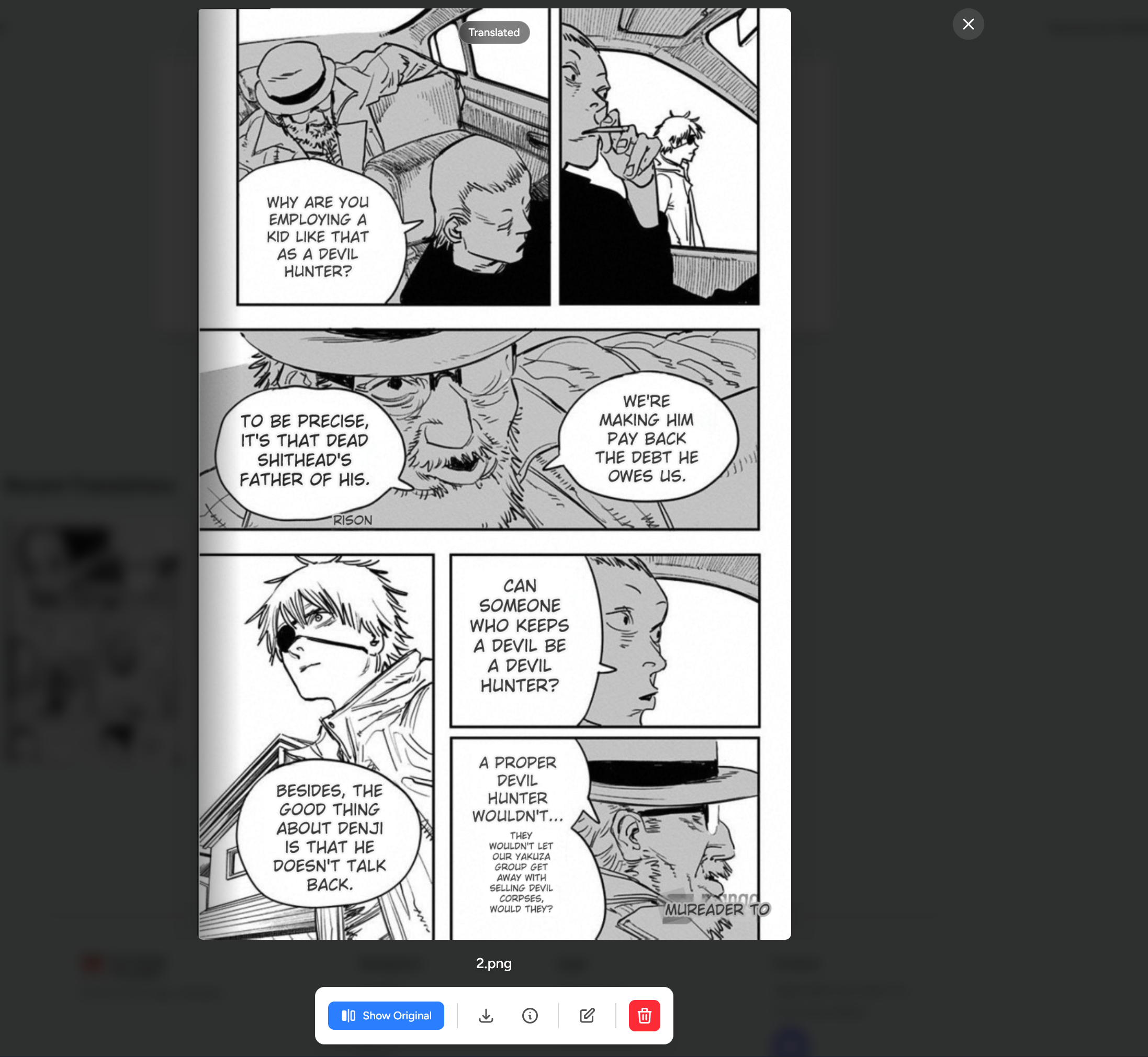 Translation history details